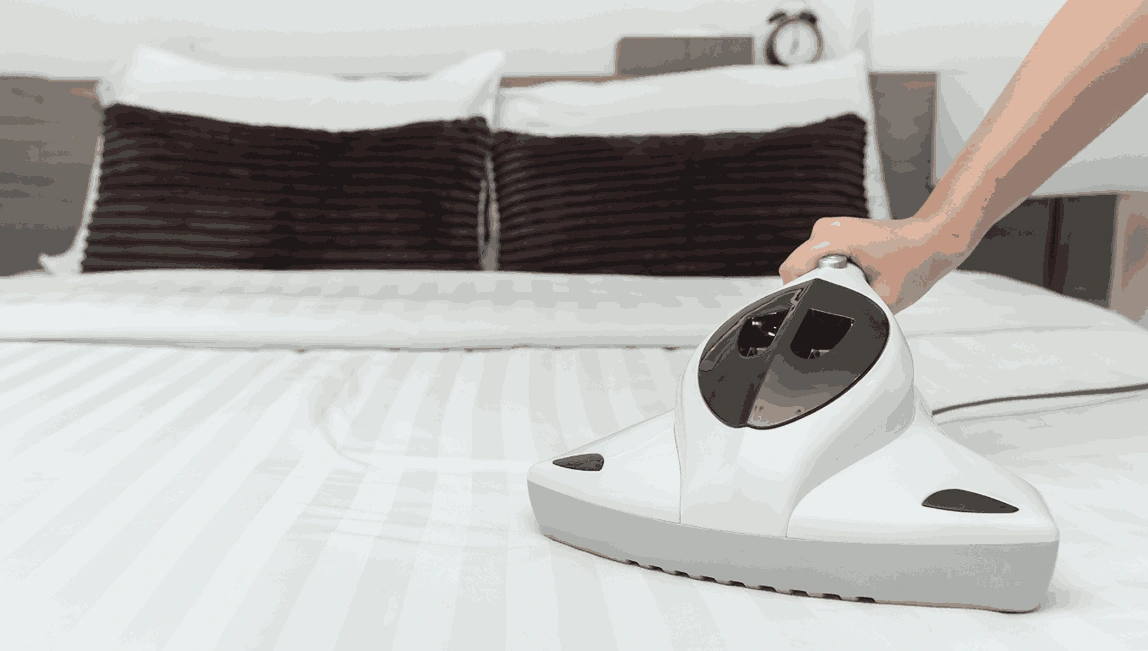Professional Mattress Cleaning Aspendale